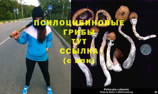 прущие крисы Алексин