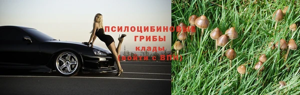 трава Алексеевка
